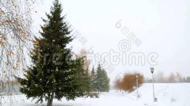 深雪时，公园小巷树在冬天。 4k